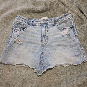 BKE Shorts